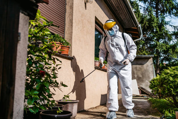 Best Emergency Pest Control  in Memphis, FL