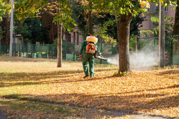 Best Best Pest Control Companies  in Memphis, FL