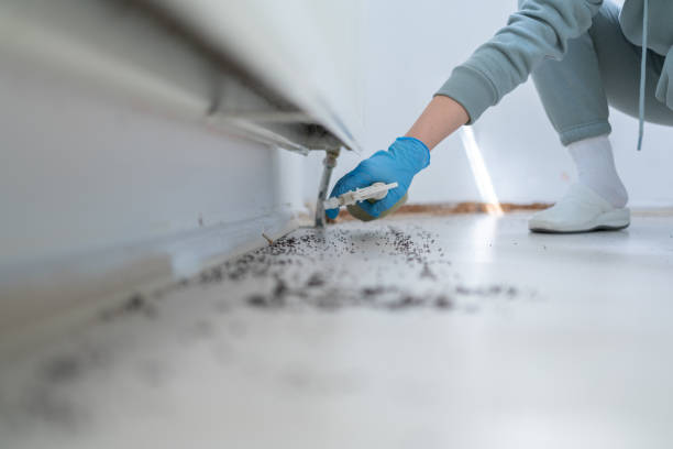 Best Pest Inspection Near Me  in Memphis, FL